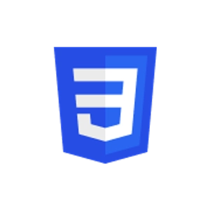 CSS logo