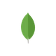 MongoDb